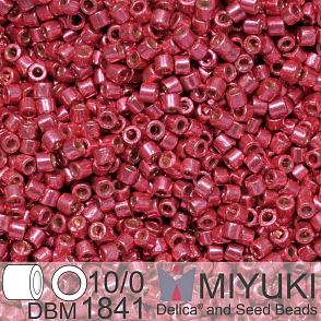 Korálky Miyuki Delica 10/0. Barva Duracoat Galvanized Light Cranberry DBM1841. Balení 5g.