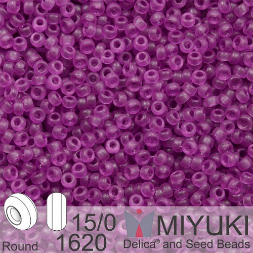 Korálky Miyuki Round 15/0. Barva 1620 Dyed SF Tr Lavender . Balení 5g